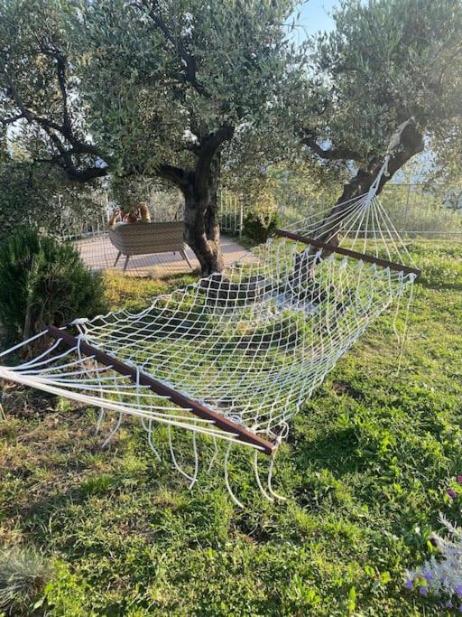 Villa Casa Vista Mare - Superb Garden And Parking Included à Imperia Extérieur photo