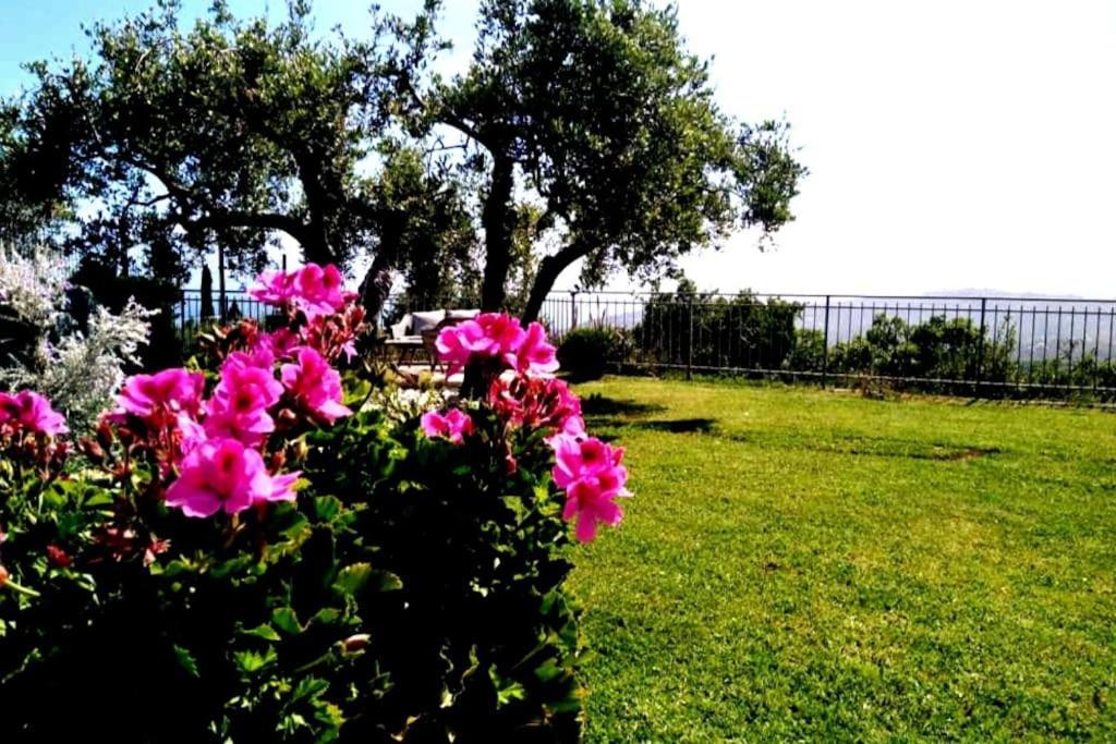 Villa Casa Vista Mare - Superb Garden And Parking Included à Imperia Extérieur photo