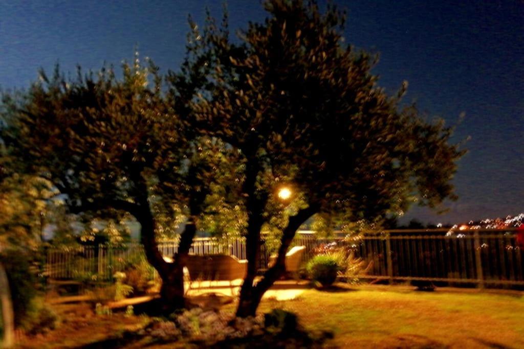 Villa Casa Vista Mare - Superb Garden And Parking Included à Imperia Extérieur photo